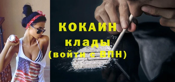 тгк Арсеньев