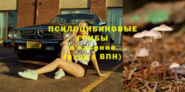 тгк Арсеньев