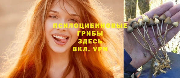 тгк Арсеньев