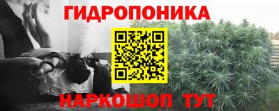 кокс Ярославль